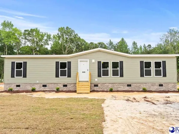 3515 Ballpark Rd, Effingham, SC 29541