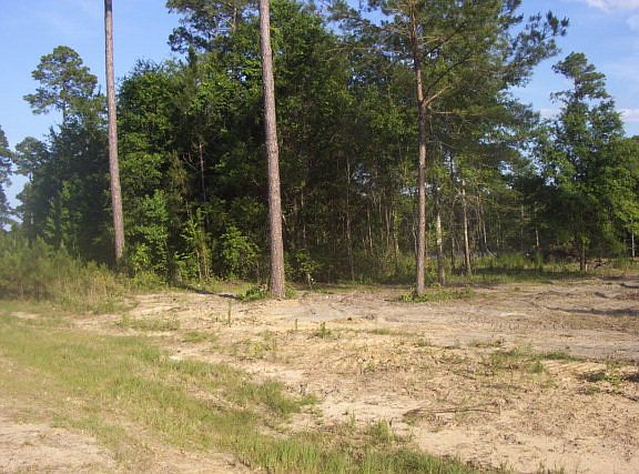 5th image of 119 Shadow Lake Dr