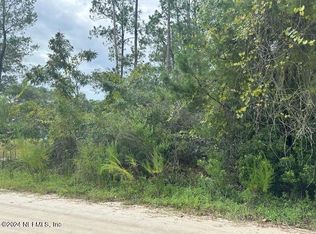 209 Seminole Trl, Georgetown, FL 32139