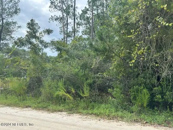 209 SEMINOLE Trail, Georgetown, FL 32139