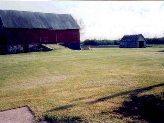 Barn in Summer