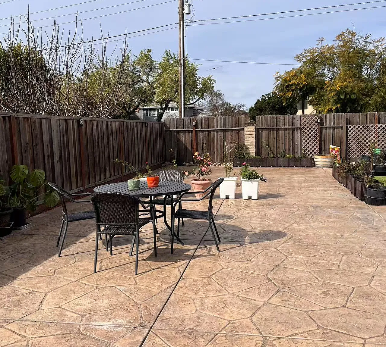 2903 Daisy St — Photo 2