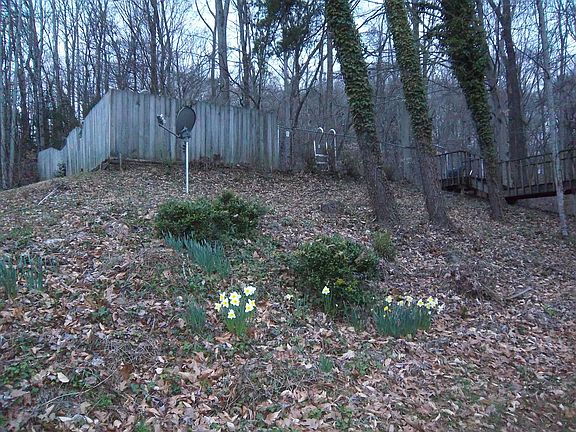 3rd image of 102 Trevecca Ln