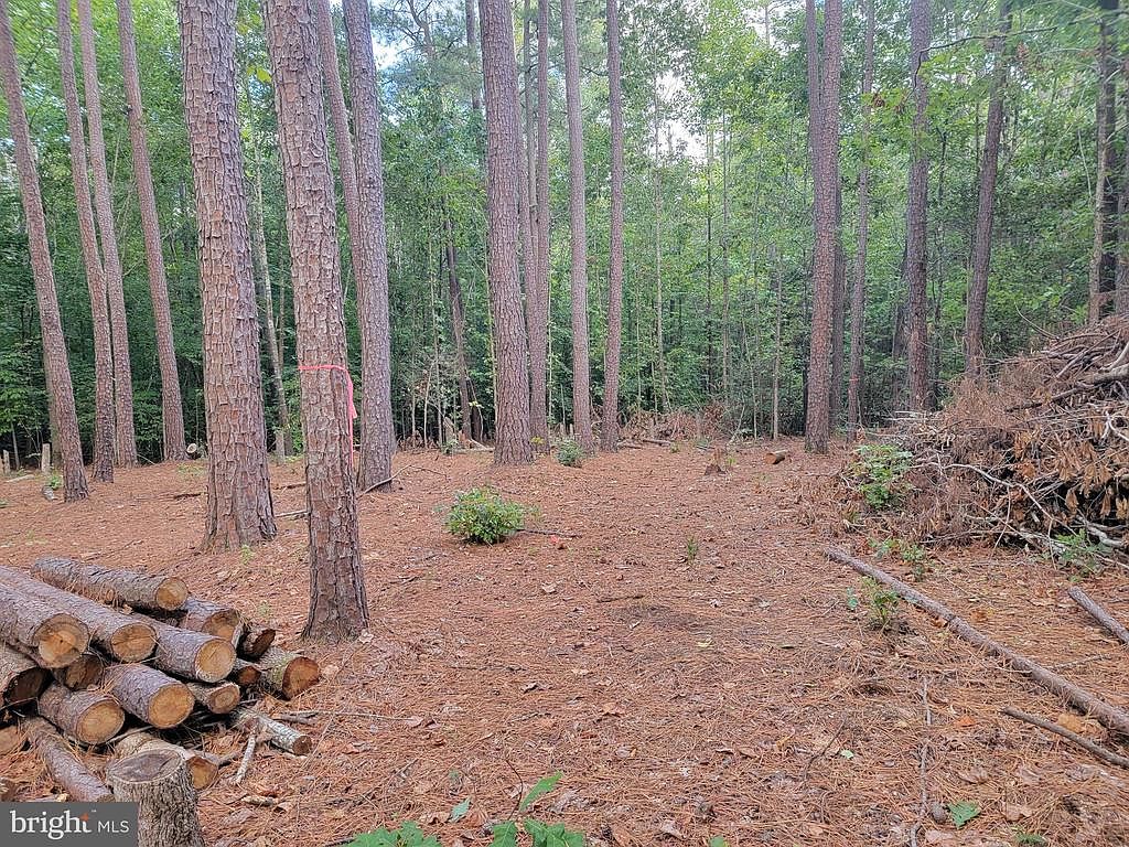 0 Hemlock Frst, Mineral, VA 23117 Zillow