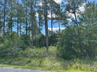 10110 Isaacson Ave #444, Hastings, FL 32145