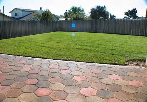 Backyard, Looking East