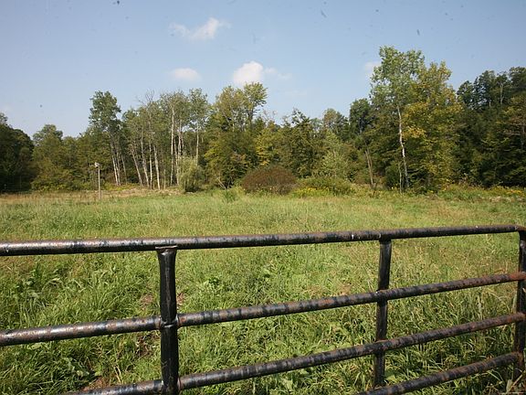 Fenced Pasture for horses