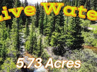 9936 County Road 18, Fairplay, CO 80440