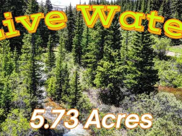 9936 County Road 18, Fairplay, CO 80440