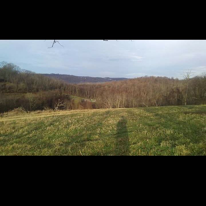 View facing towards back of 