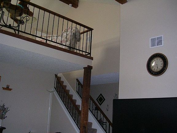 5th image of 5419 Briarwood Forest Dr