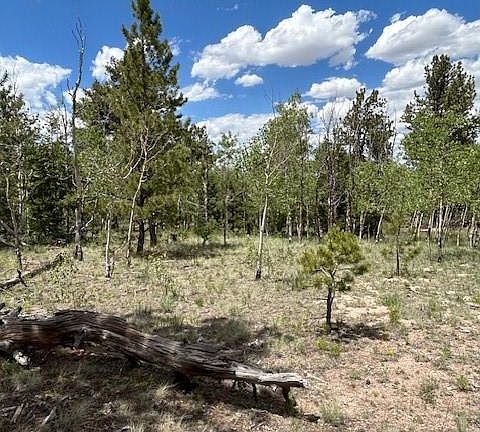3rd image of 427 Brahma Circle LOT 923