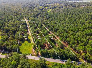 5603 Fish Hatchery Rd, Pelion, SC 29123