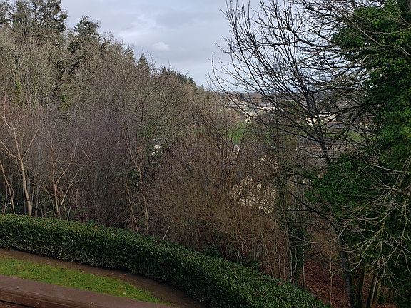 Backyard view from balcony 