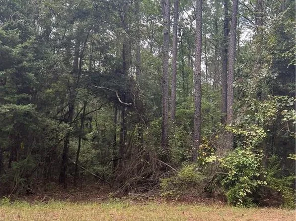 6 Fire Tower Rd, Colfax, LA 71417