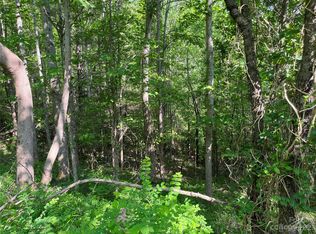 9999 Worley Dr #TR3, Marshall, NC 28753