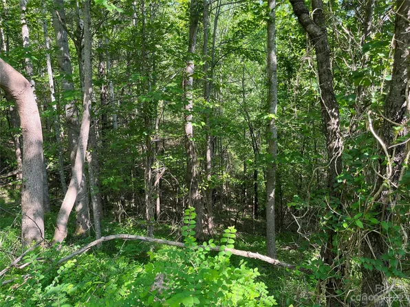 9999 Worley Dr #Tr3, Marshall, NC 28753