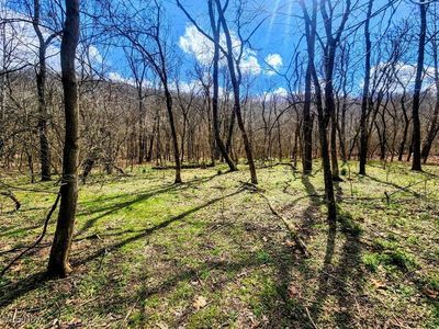 Kings Creek Rd, Weirton, WV, 26062