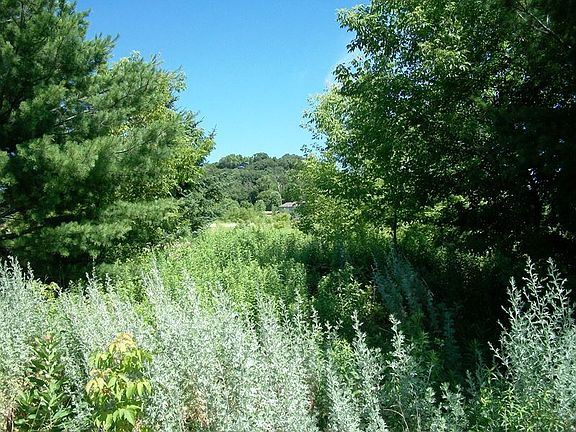 5th image of 1126TH Street Lot 10
