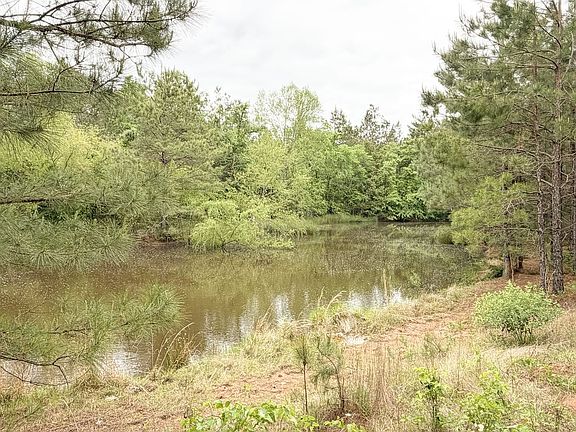 Img Pond2