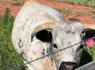 10 Painted Hills Dr, Sheridan, WY 82801