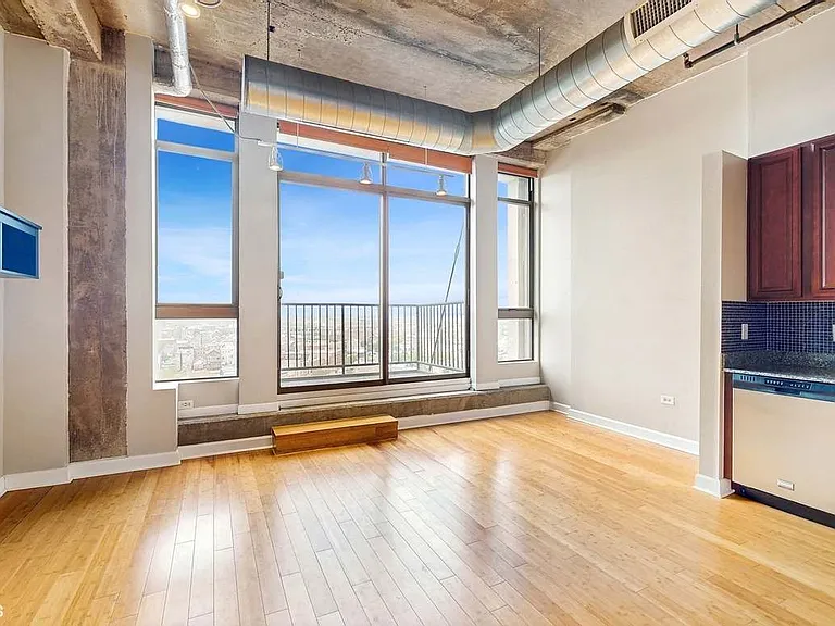 1550 S Blue Island Ave #1118 — Photo 4