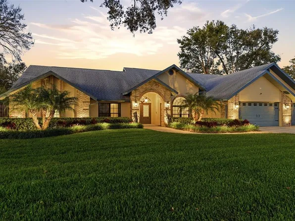 3612 Sugar Loaf Ln, Valrico, FL 33596