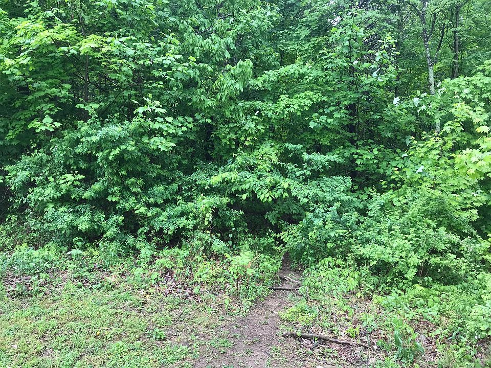 1st image of 999 Fox Hill Dr