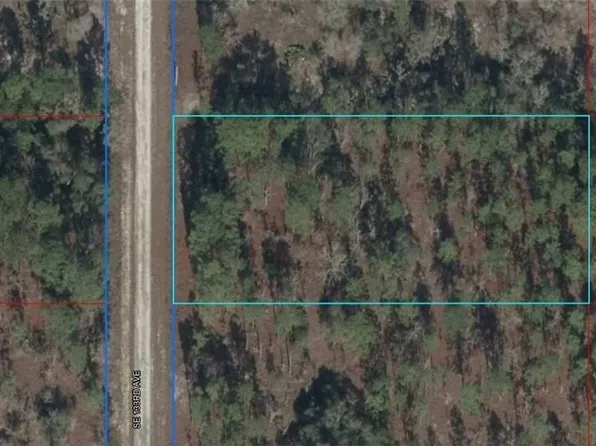 06841-015-00 SE 133rd Ave, Dunnellon, FL 34431