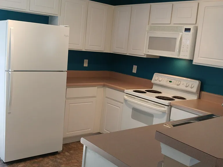 3021 Harpeth Springs Dr — Photo 2