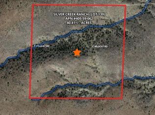 E Wildcat Rd #139, Douglas, AZ 85607