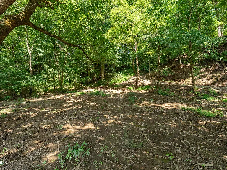 7090 Old Asheville Hwy — Photo 78