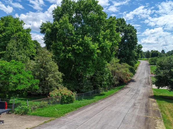 Ruth Brook Dr, Mount Carmel, TN 37645