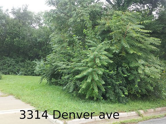 5th image of 3314 Denver Ave
