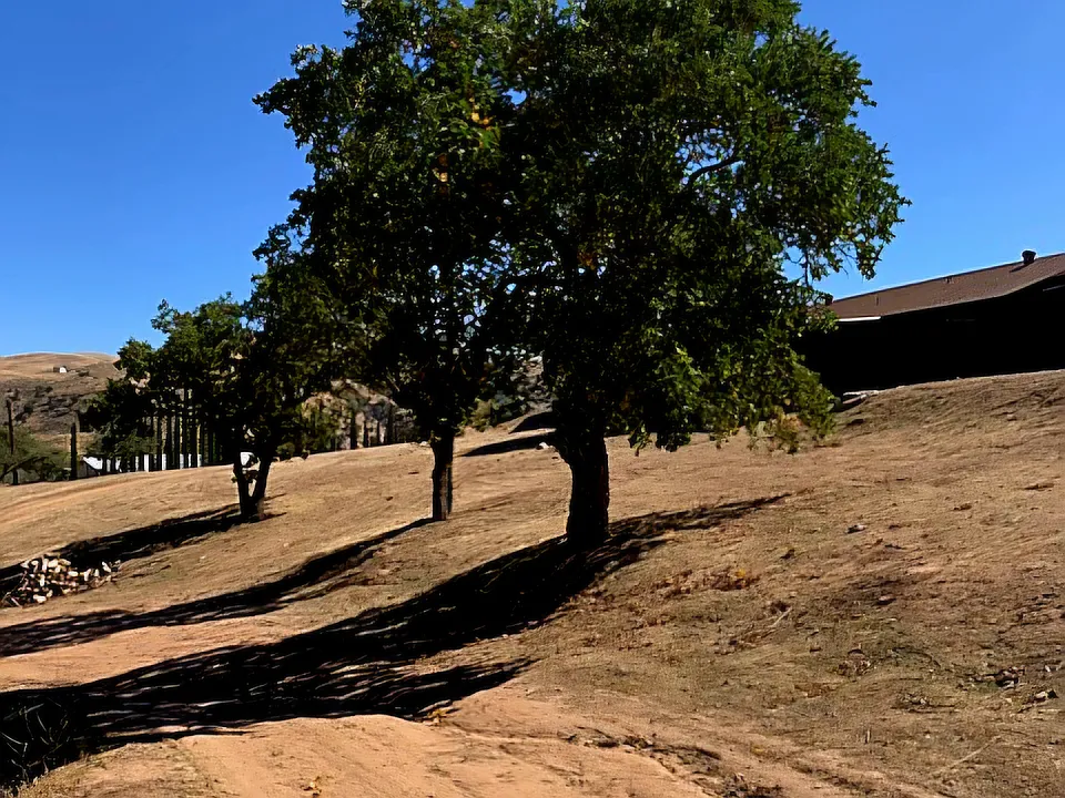 501 Cuddy Canyon Rd