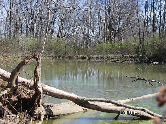 5th image of 1802 Poindexter Rd