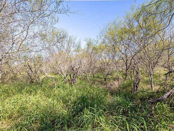 5th image of 0 Fm 666 At County Road 1168