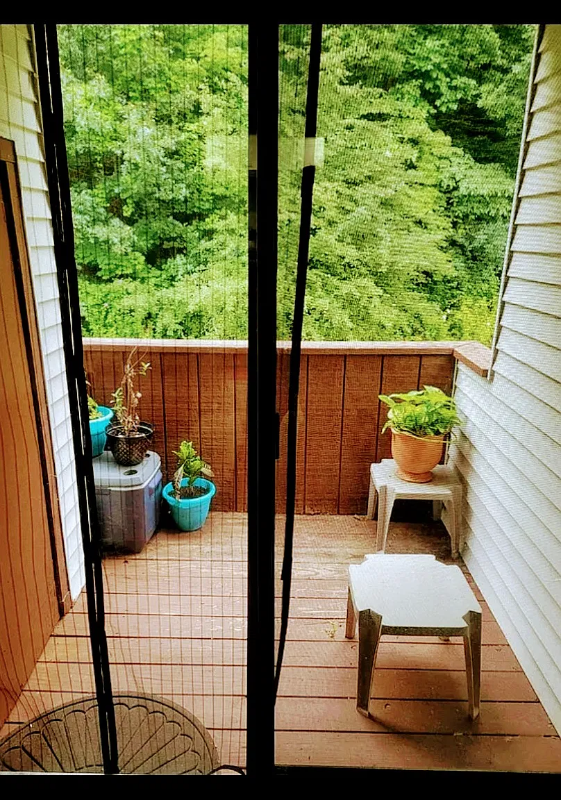1 bed, 900 sqft, $1,950 — Photo 3