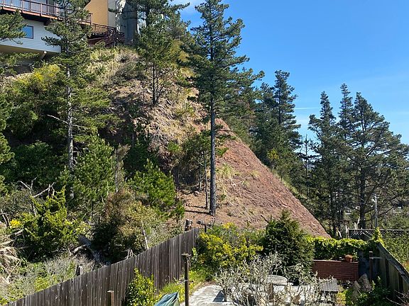 Large and Sunny Backyard
