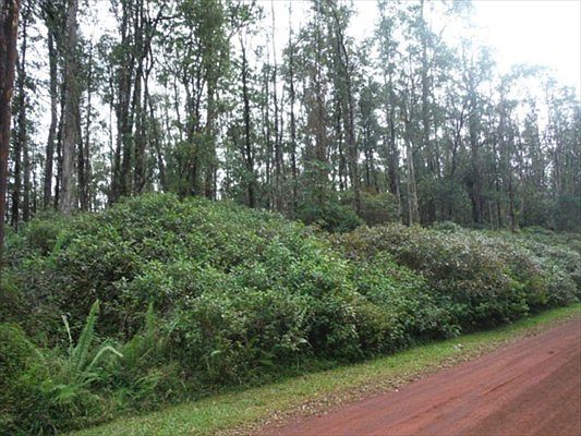 1st image of Kuhio Dr Lot 47