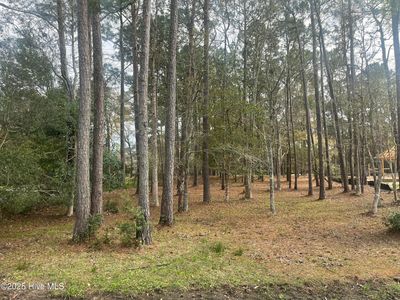 359 Genoes Point Road SW, Supply, NC, 28462