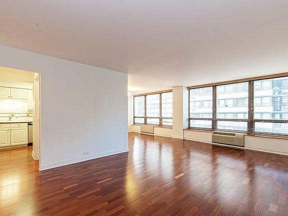 3rd image of 50 E Bellevue Pl APT 701
