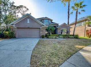 11602 Renaissance View Ct, Tampa, FL 33626