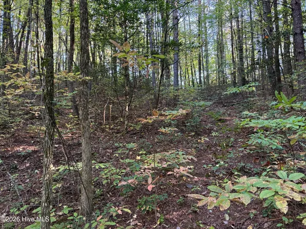 00 Rocky Creek Road, Andrews, NC 28901