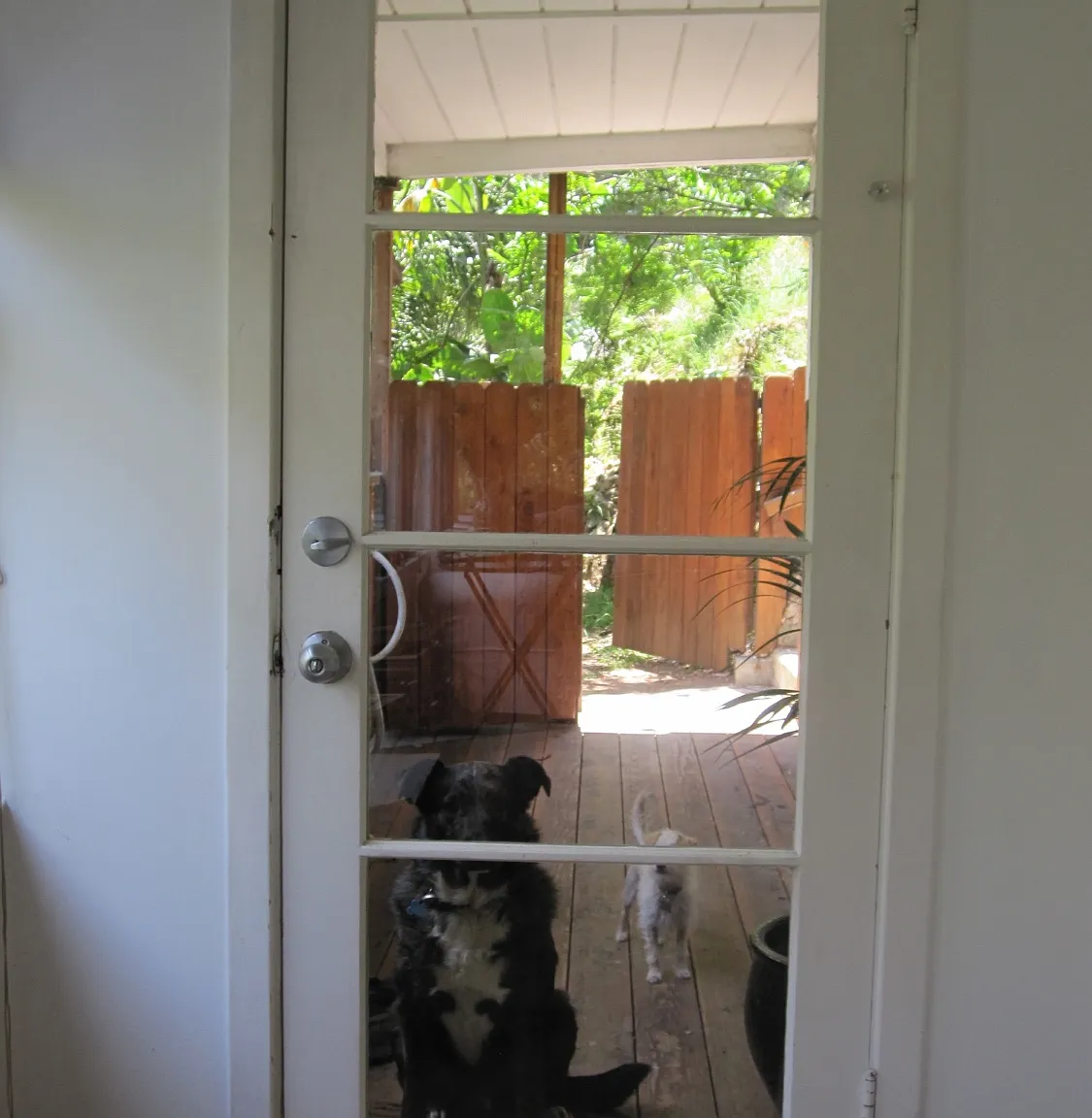 Gould Ave, Los Angeles — Photo 4