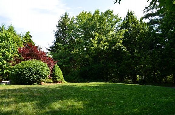 Lush Tree Lined Yards