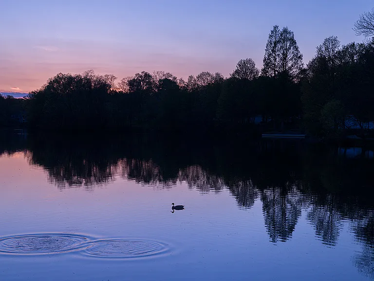 Enjoy Spending Time at the Lake at Columbia Town Center