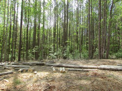 223 Lindo Johnson Rd #1, Pittsboro, NC, 27312