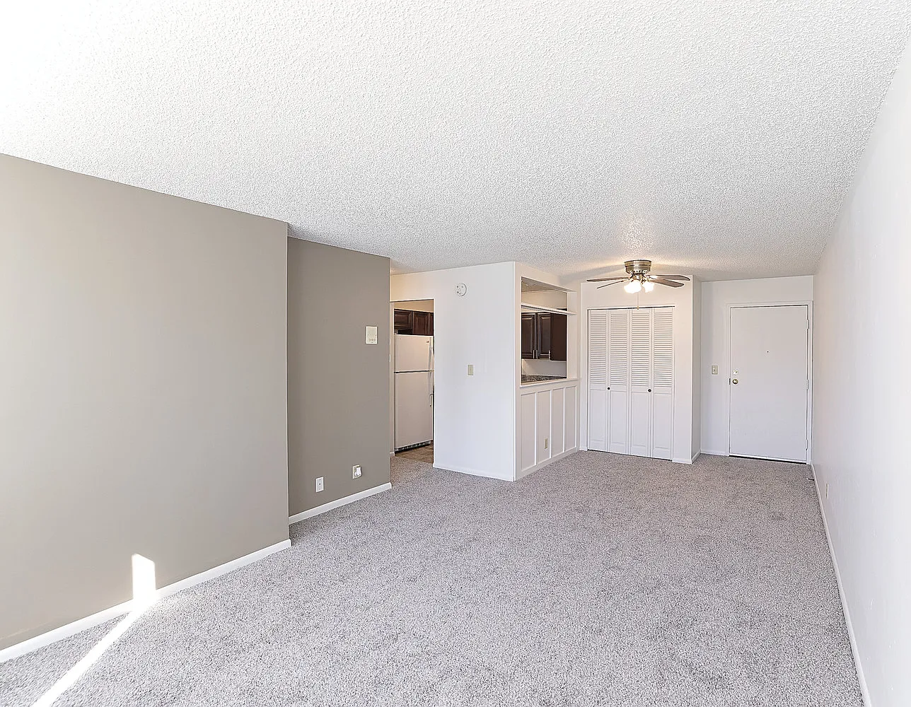 1 bed, 600 sqft, $699 — Photo 2