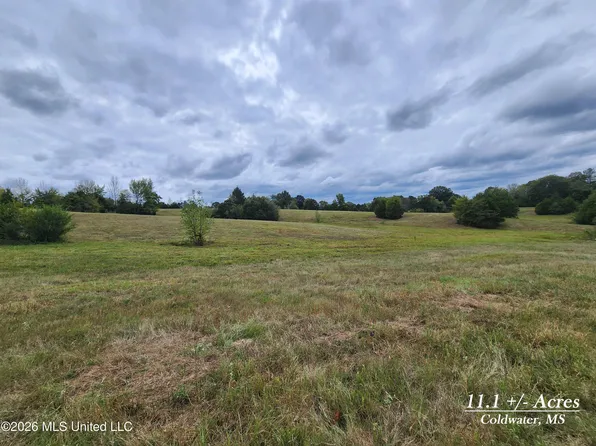 11.1 Bub Jamison Rd, Coldwater, MS 38618